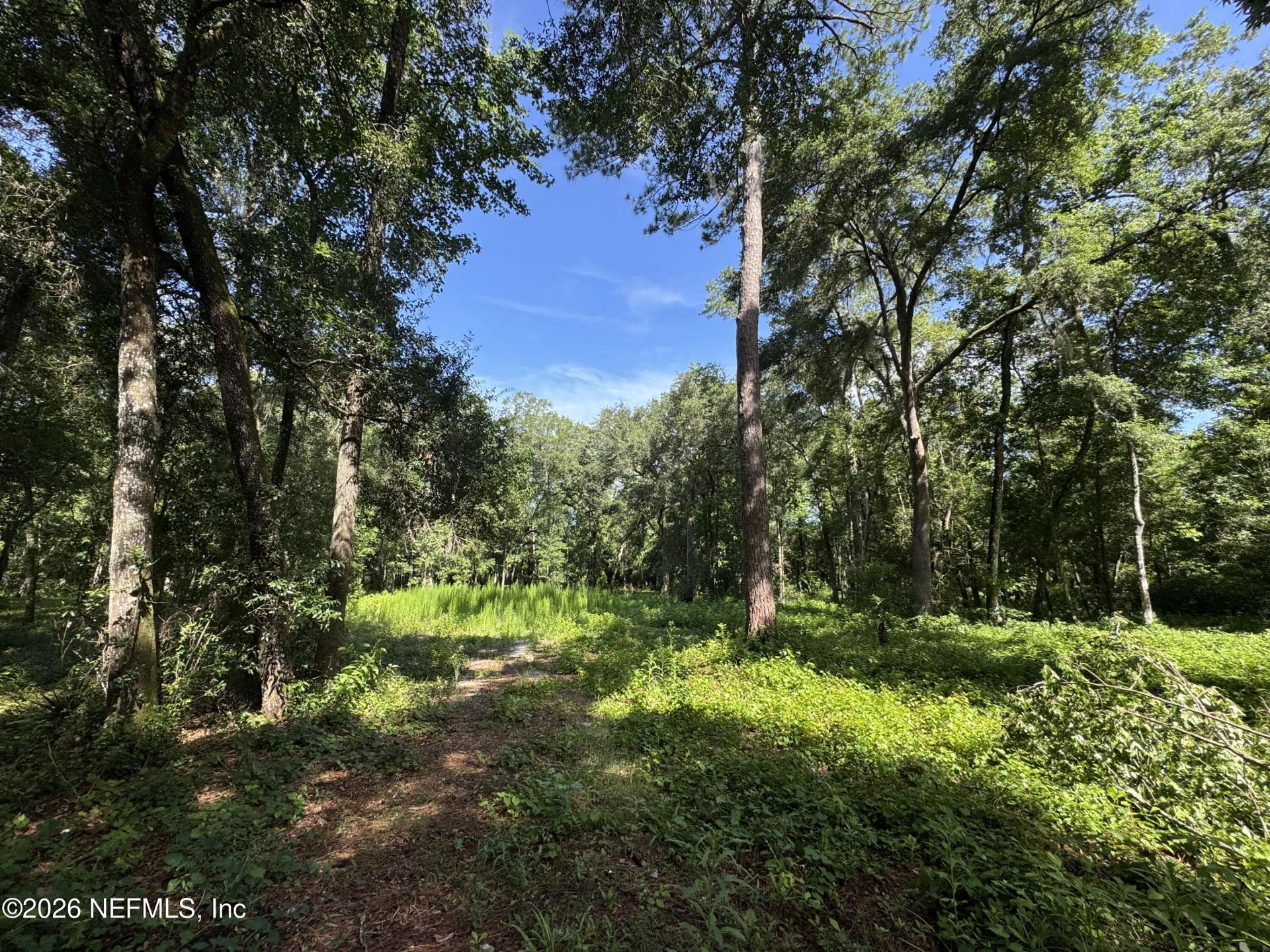 241 Indian Lakes Forest Road, Florahome, FL 32140 Photo