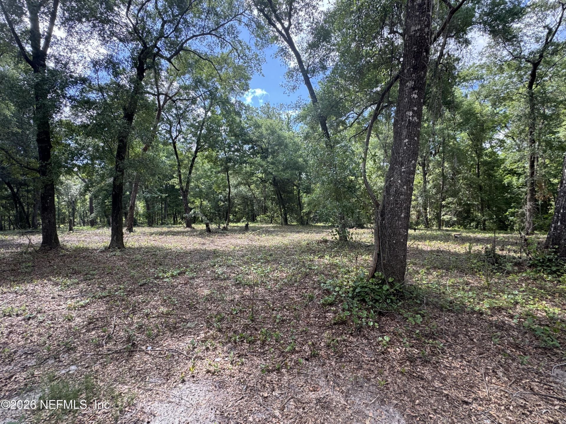 241 Indian Lakes Forest Road, Florahome, FL 32140 Photo