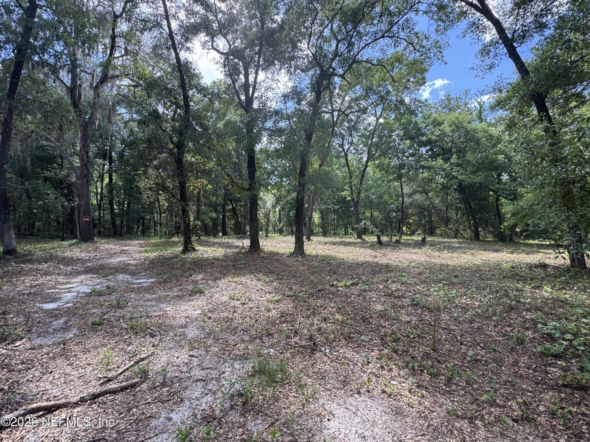 241 Indian Lakes Forest Road, Florahome, FL 32140 Photo