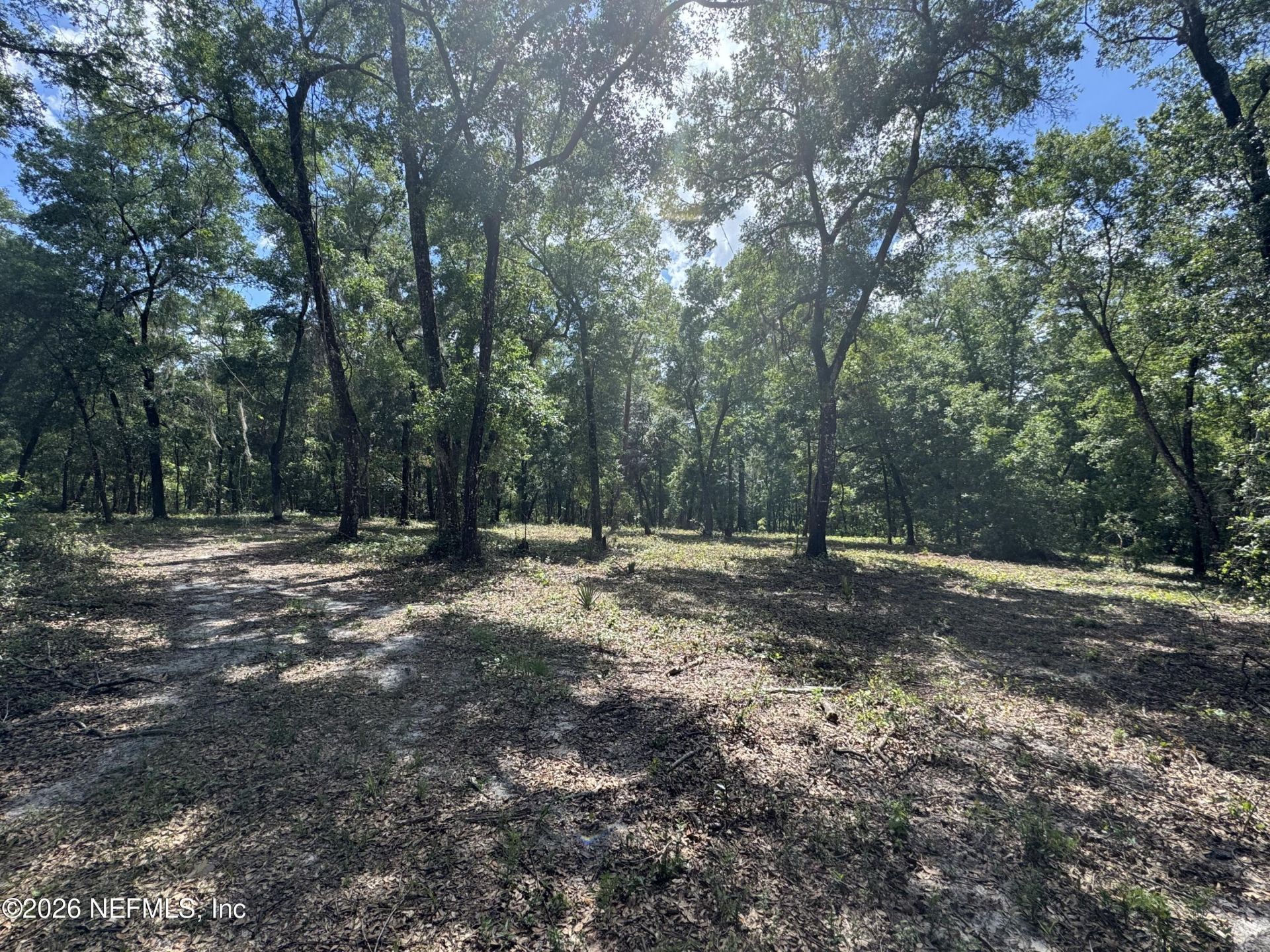 241 Indian Lakes Forest Road, Florahome, FL 32140 Photo