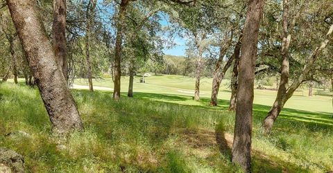 11631 Redwing Ct, Penn Valley, CA 95946 Photo