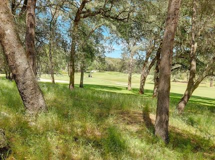 11631 Redwing Ct, Penn Valley, CA 95946 Photo