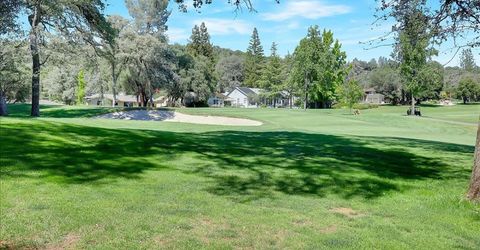 11631 Redwing Ct, Penn Valley, CA 95946 Photo