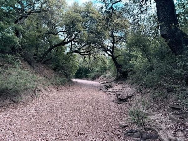 950 County Road 442 , Mercury, TX 76872