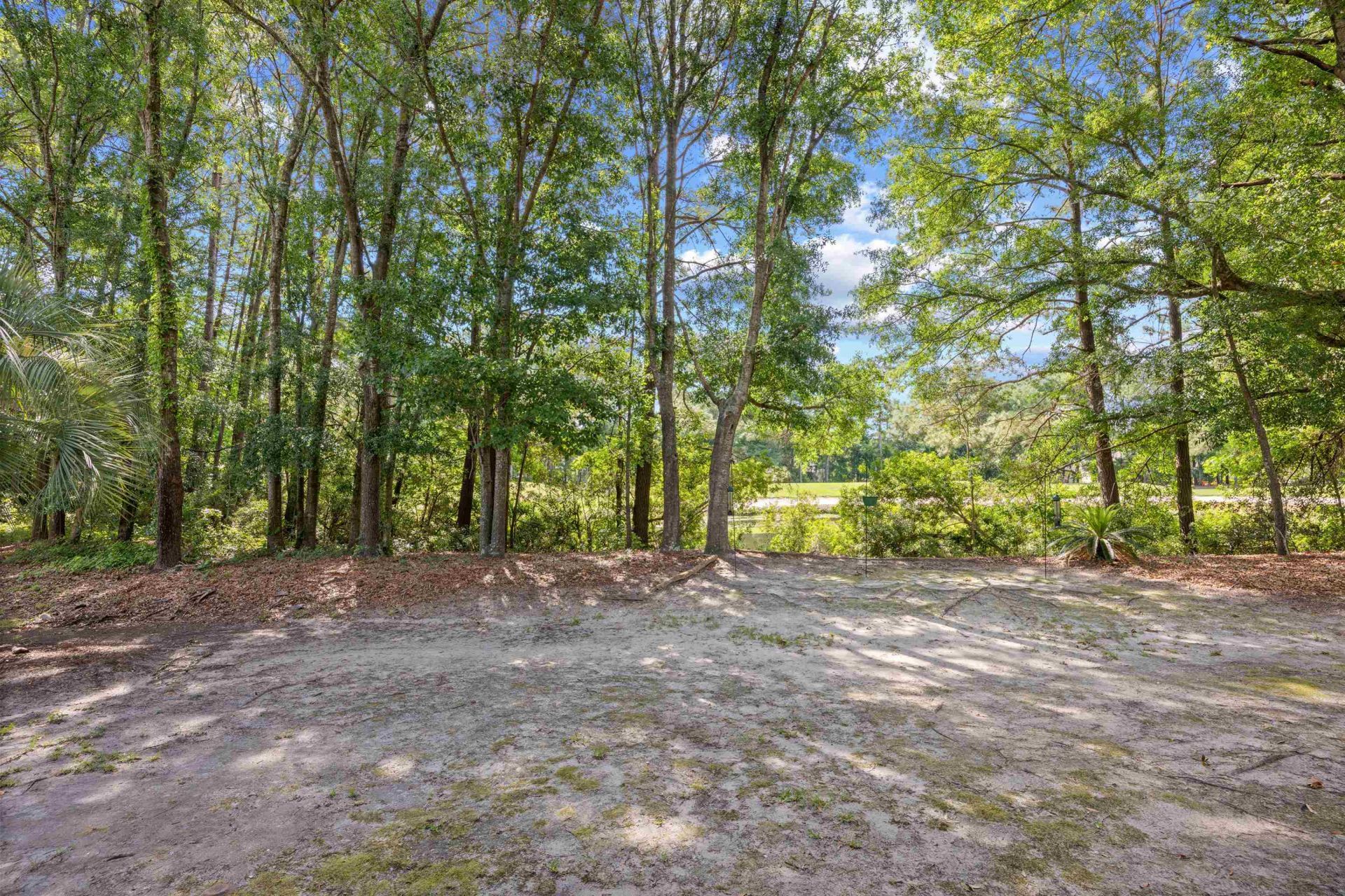 91 Deacon Dr. Photo 16