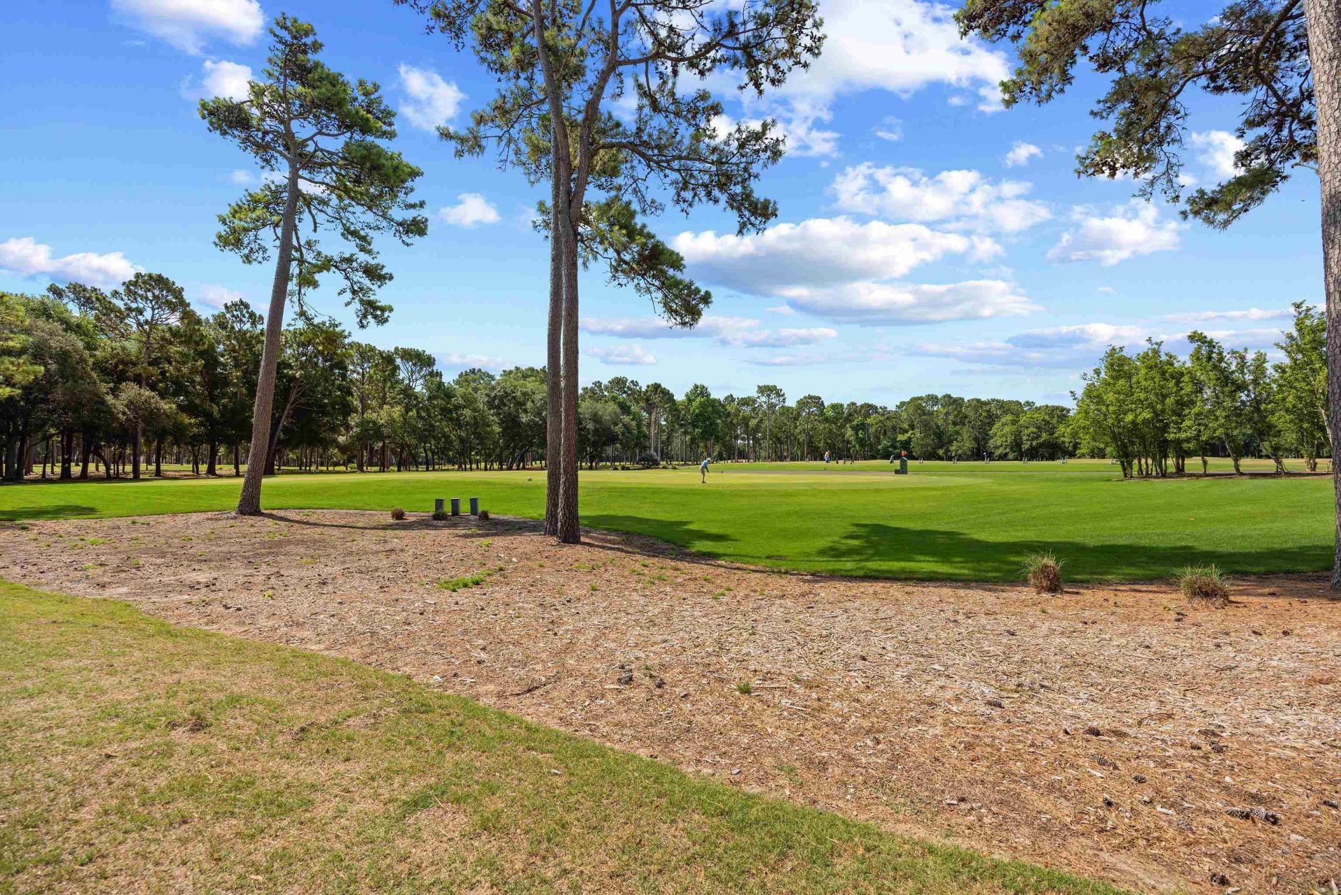91 Deacon Dr. Photo 33