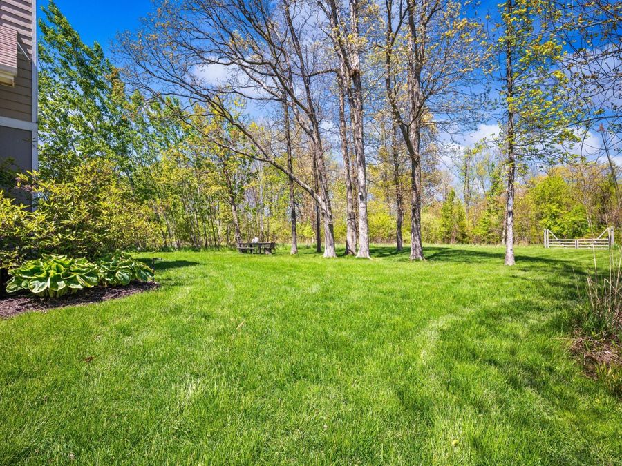 Property Image 54