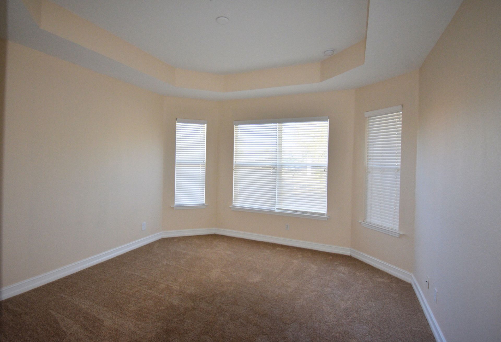 1249 NW 37th Avenue, Cape Coral, FL 33993 Photo