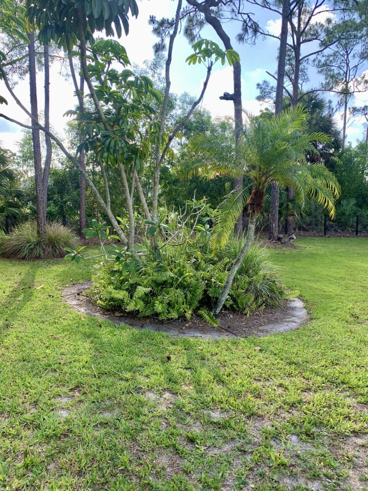 12920 N 75th Ln Lane N, The Acreage, FL 33412 Photo