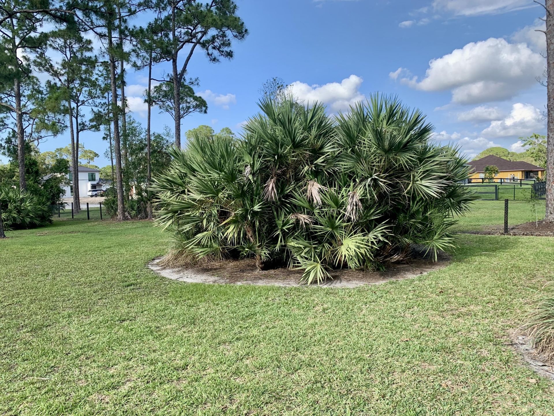 12920 N 75th Ln Lane N, The Acreage, FL 33412 Photo