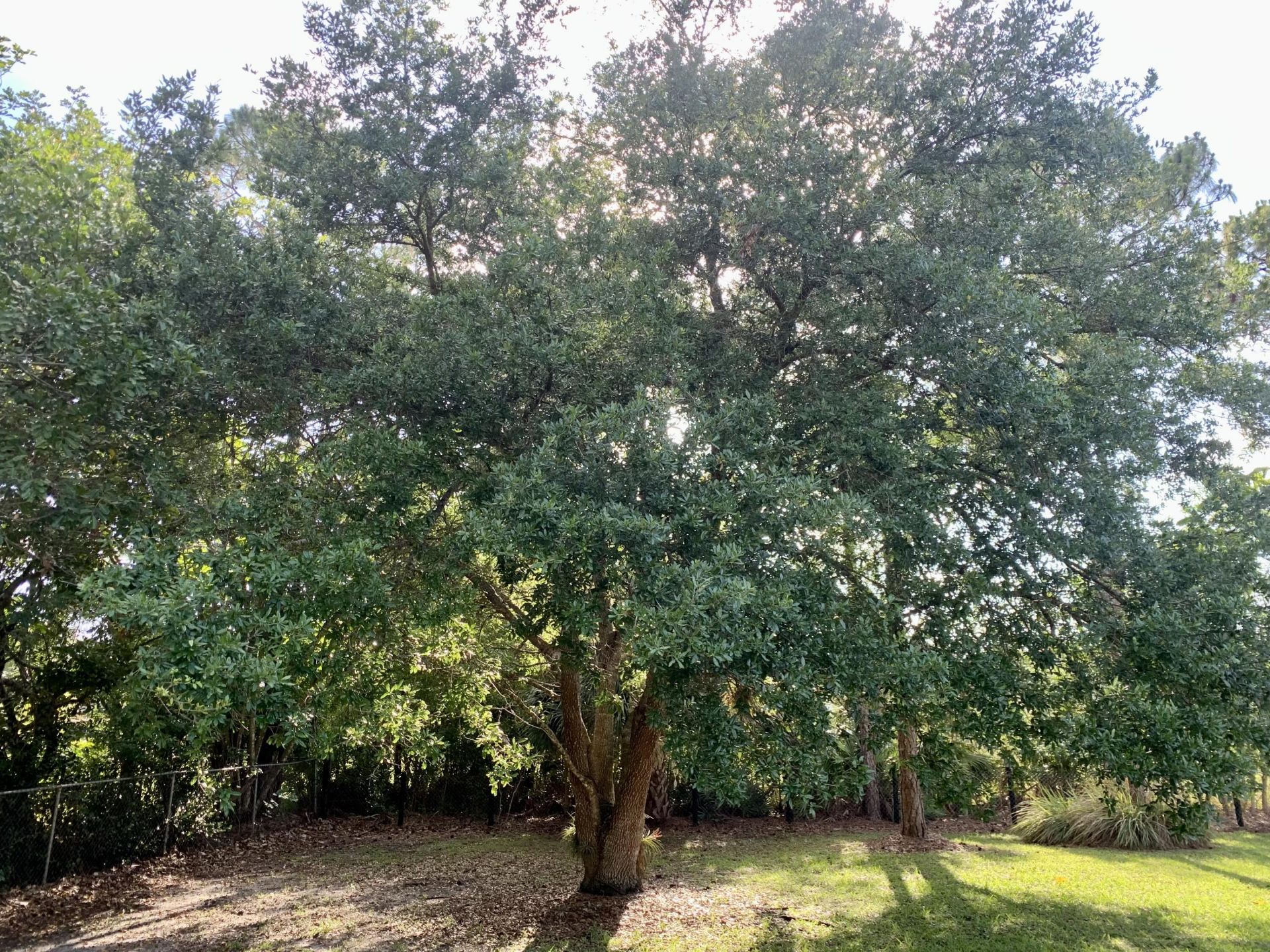 12920 N 75th Ln Lane N, The Acreage, FL 33412 Photo