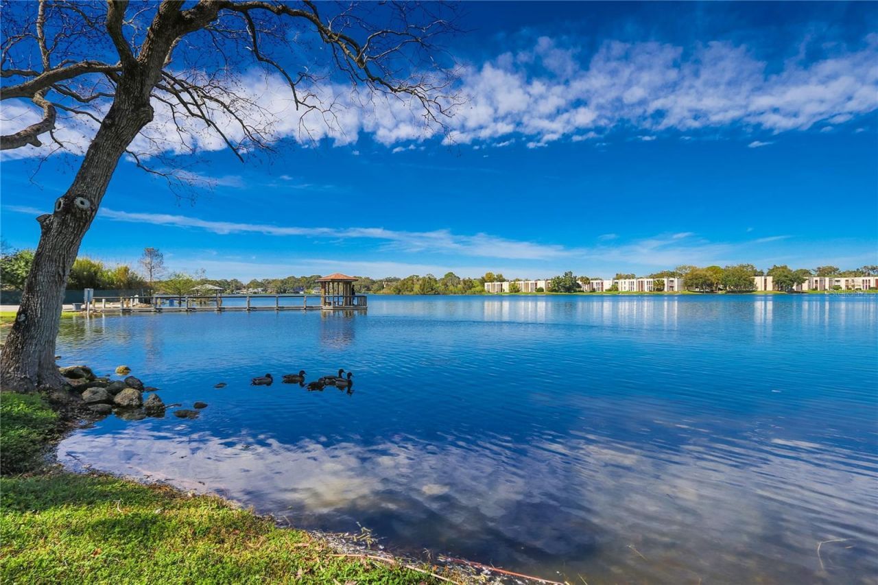 626 Red Oak Circle, Unit 106, Altamonte Springs, FL 32701 Photo