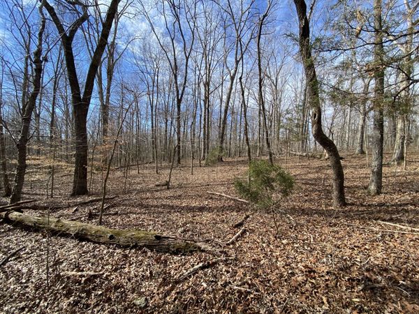 7119 Old Cox Pike , Fairview, TN 37062