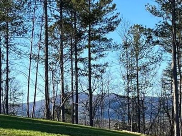6480 Highway 52 W, Dahlonega, GA 30533