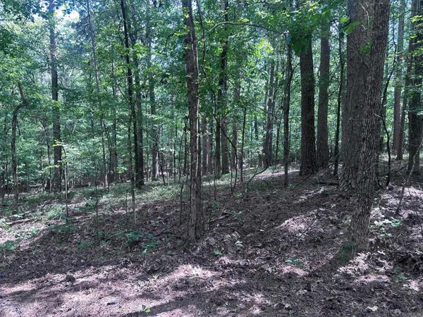 7 Novato Ln , Hot Springs Village, AR 71909