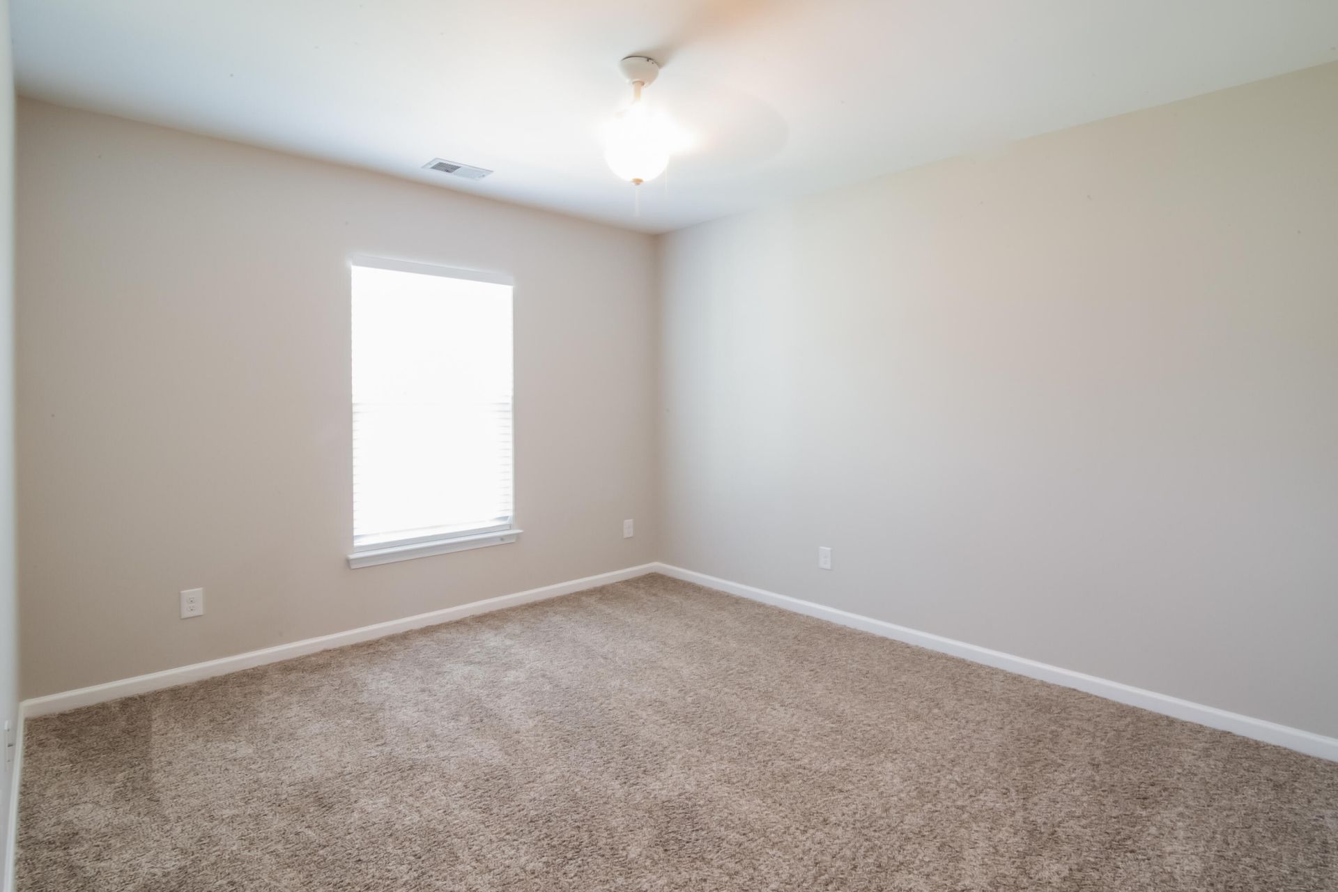 7837 Expedition Drive Photo 12
