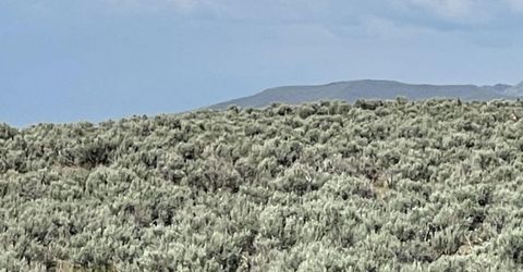 10 Button Point Road, Golconda, NV 89414 Photo