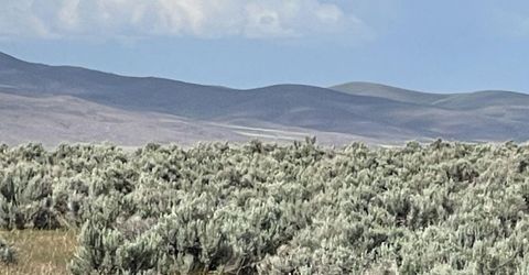 10 Button Point Road, Golconda, NV 89414 Photo