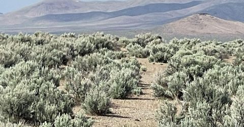 10 Button Point Road, Golconda, NV 89414 Photo