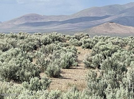 10 Button Point Road, Golconda, NV 89414 Photo