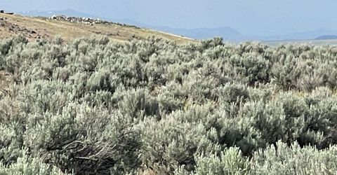 10 Button Point Road, Golconda, NV 89414 Photo