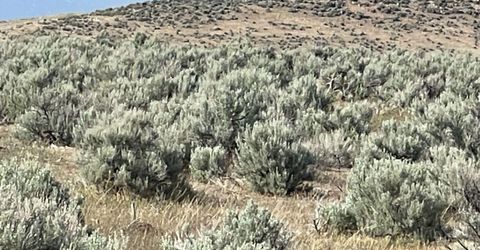 10 Button Point Road, Golconda, NV 89414 Photo