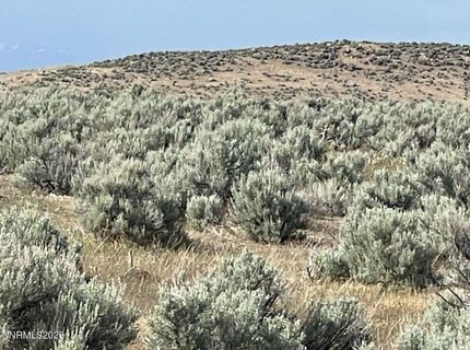 10 Button Point Road, Golconda, NV 89414 Photo