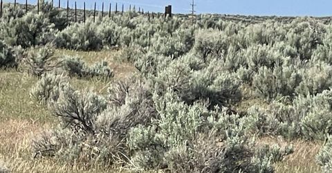 10 Button Point Road, Golconda, NV 89414 Photo