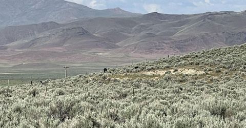 10 Button Point Road, Golconda, NV 89414 Photo