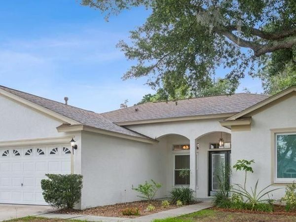 10113 TANTARA COURT, RIVERVIEW, FL 33578
