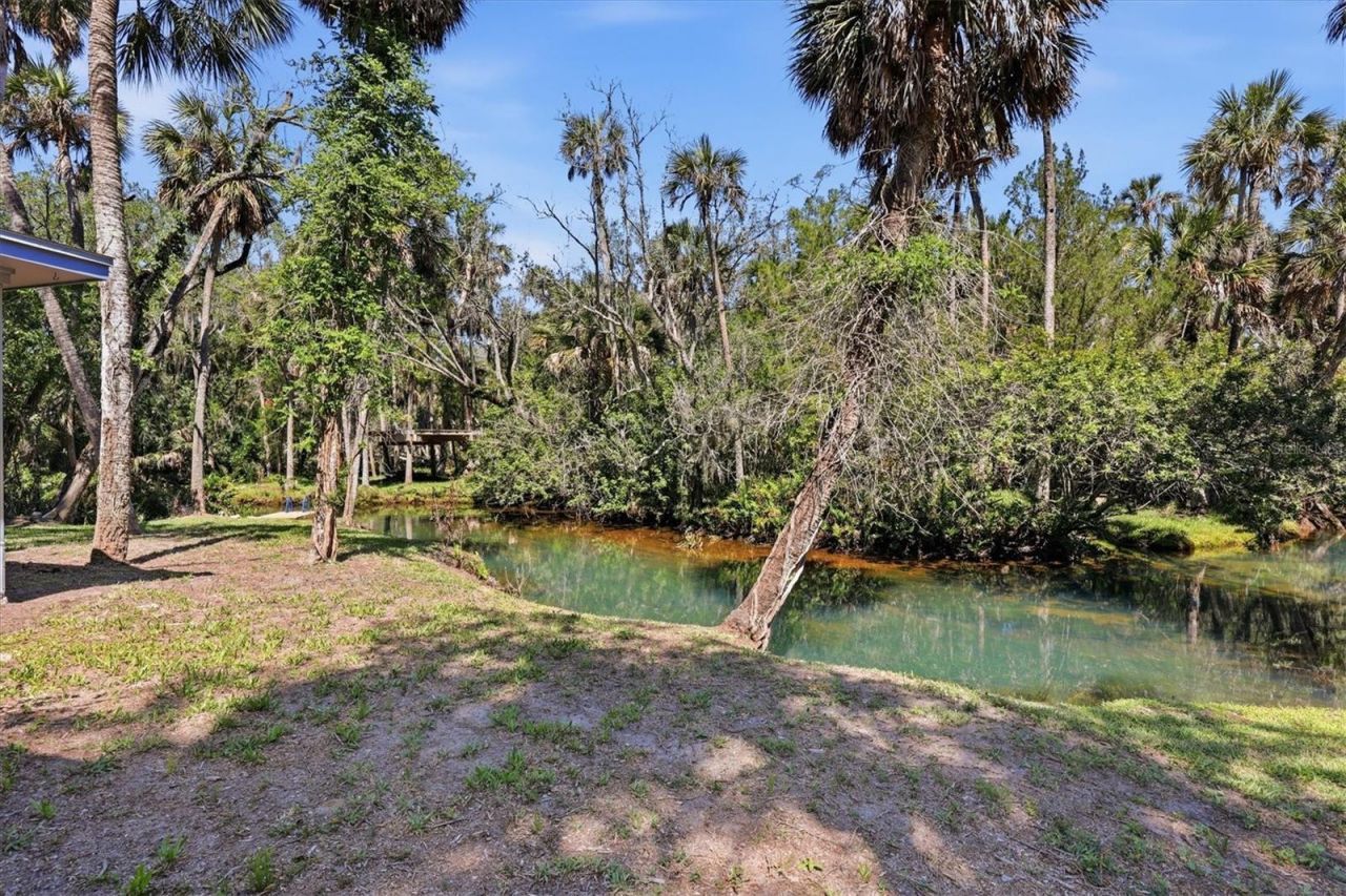 6244 Colony Circle , Weeki Wachee, FL 34607 Photo