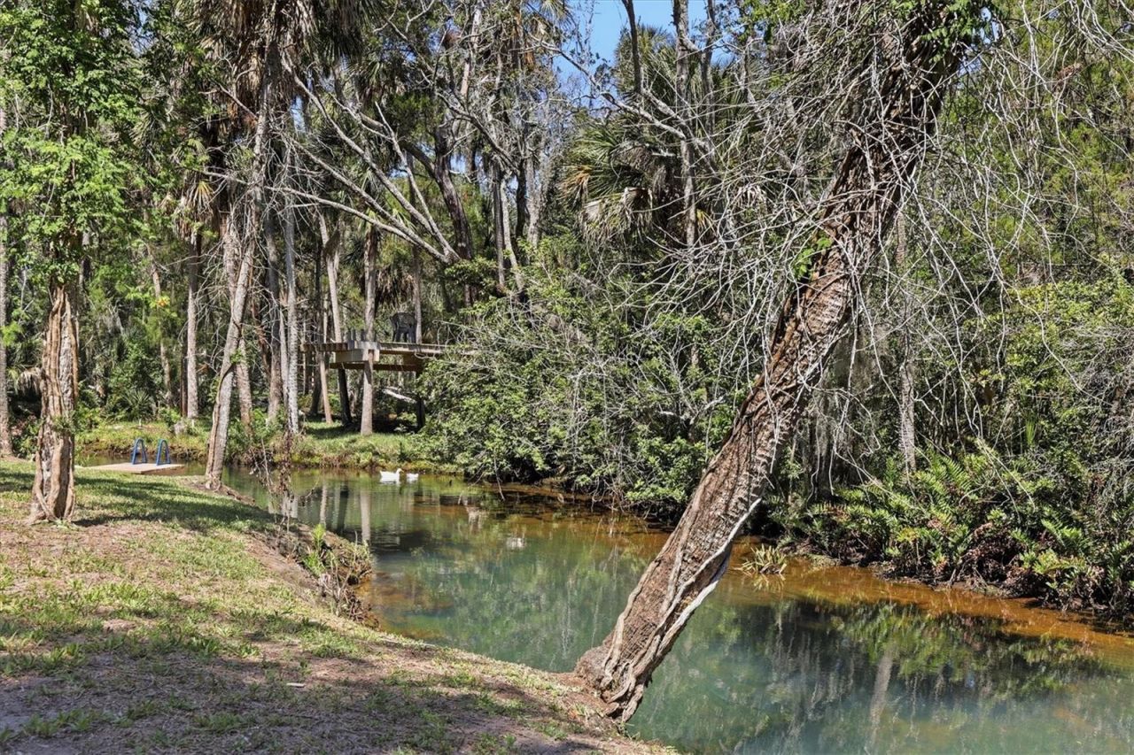 6244 Colony Circle , Weeki Wachee, FL 34607 Photo