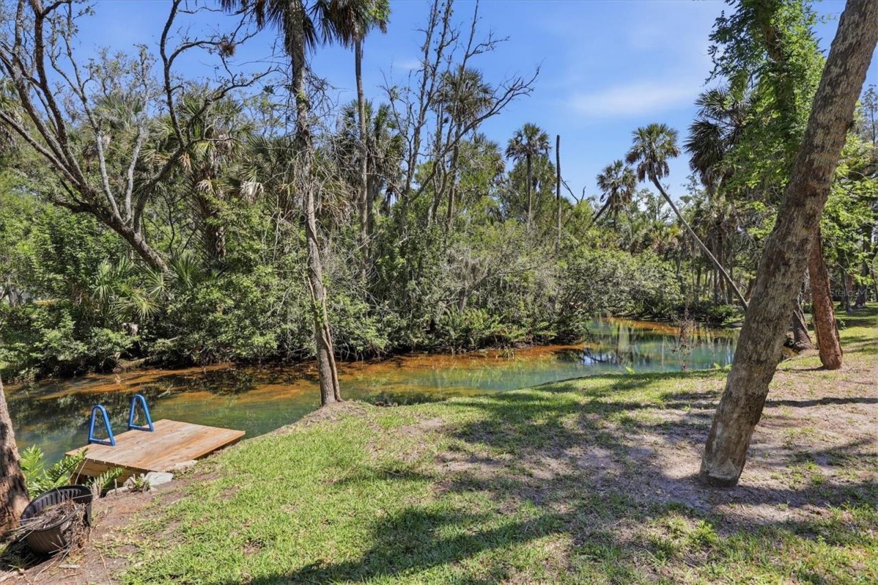 6244 Colony Circle , Weeki Wachee, FL 34607 Photo