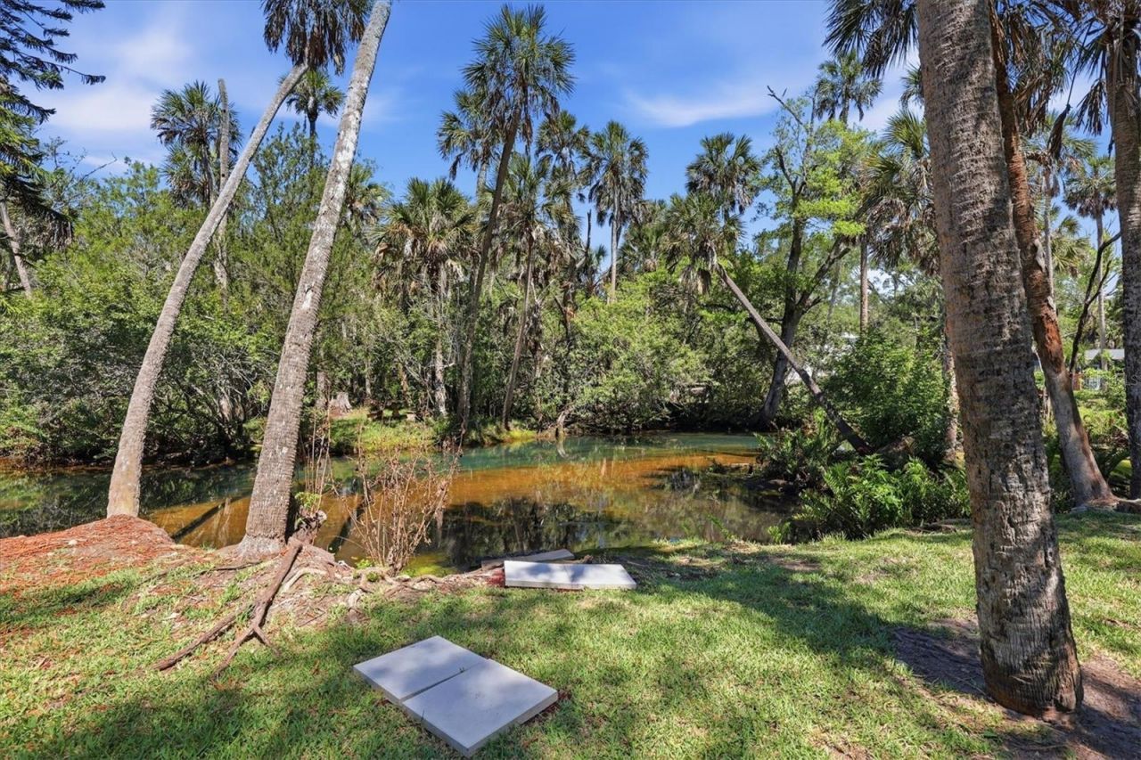 6244 Colony Circle , Weeki Wachee, FL 34607 Photo