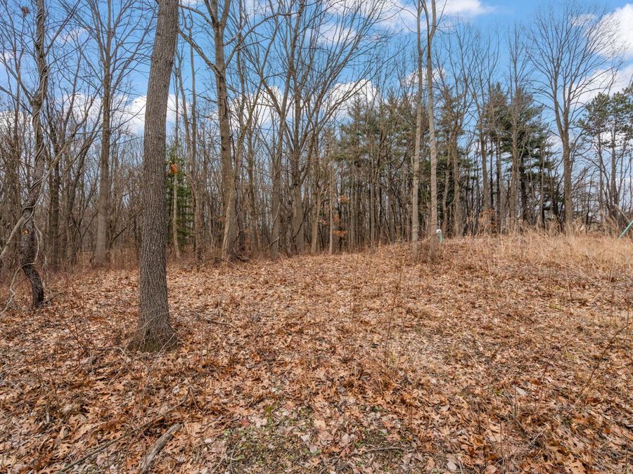 Property Image 92
