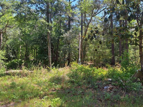 608 Bass Road, Reidsville, GA 30453