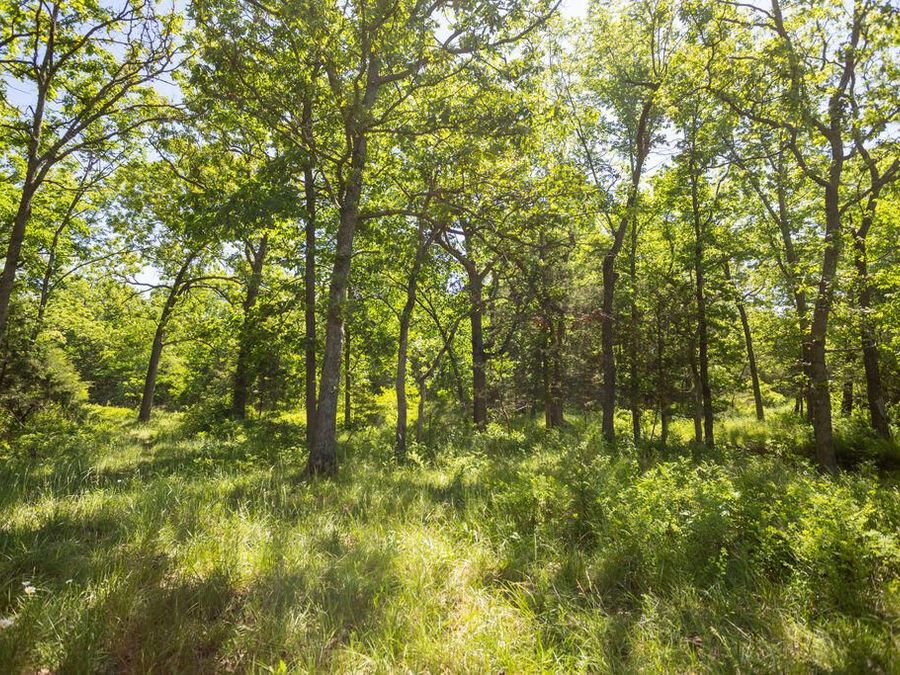 Property Image 53