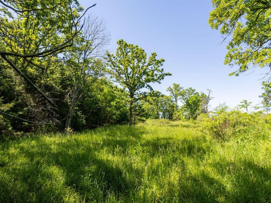 Property Image 59