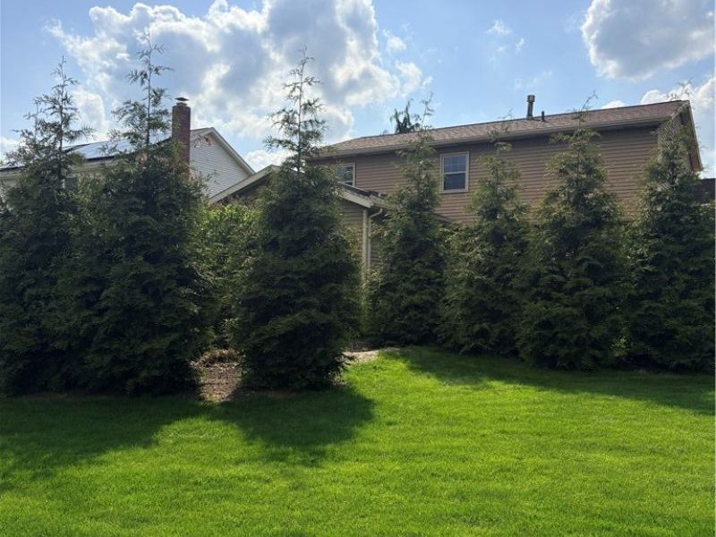 1154 Waterbury Drive, Medina, OH 44256 Photo 38