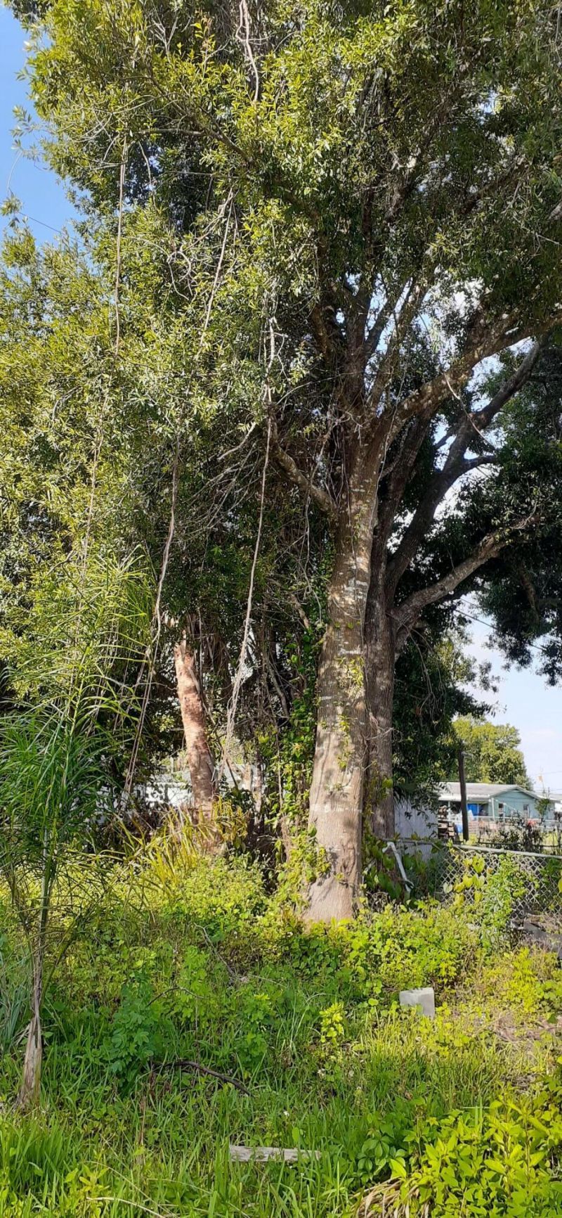 2151 Barbara Avenue, Fort Pierce, FL 34982 Photo