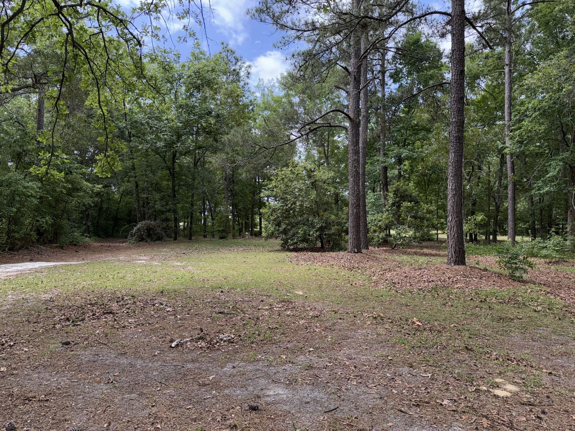 152 Frisco Lane Photo 16