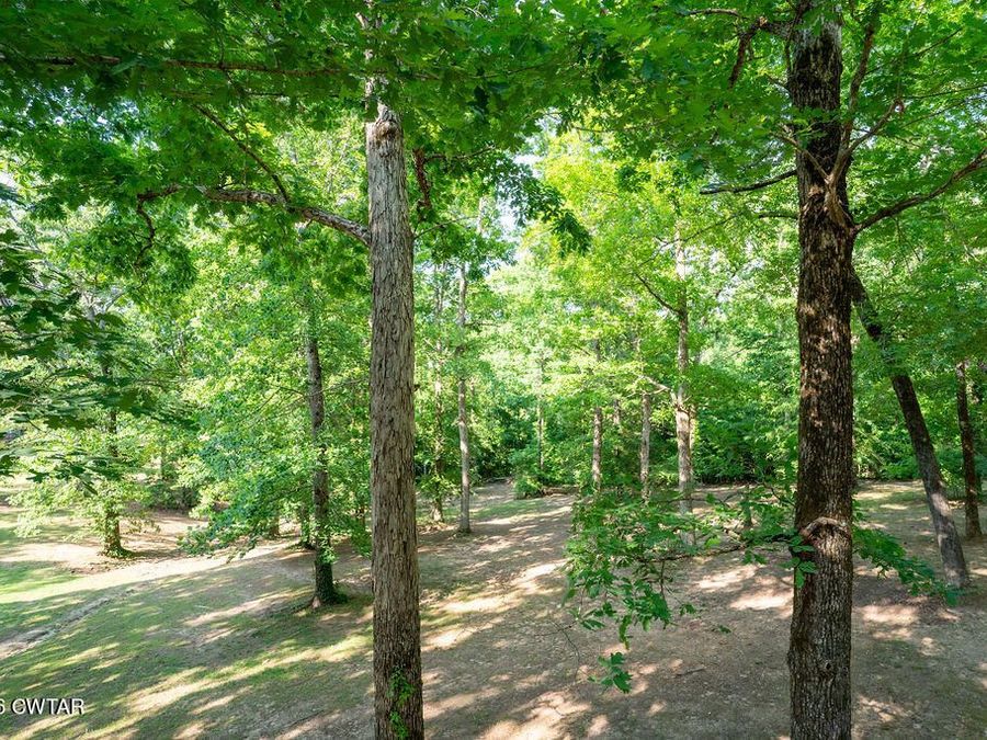 Property Image 53