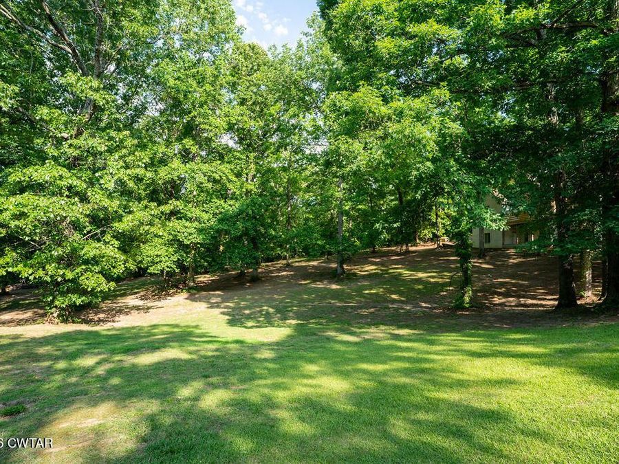 Property Image 59