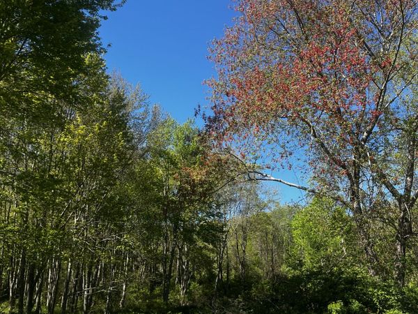 408 Martin, Hebron, CT 06248