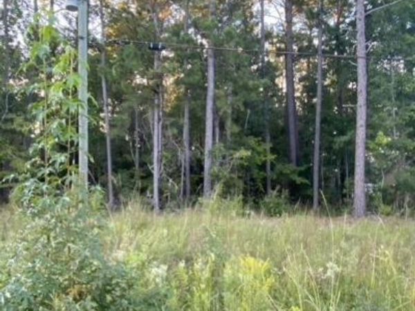 Tbd Burgaw Highway , Jacksonville, NC 28540