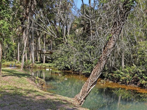 6240 COLONY CIRCLE , WEEKI WACHEE, FL 34607