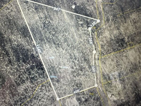 00 Tennessee Way, Del Rio, TN 37727