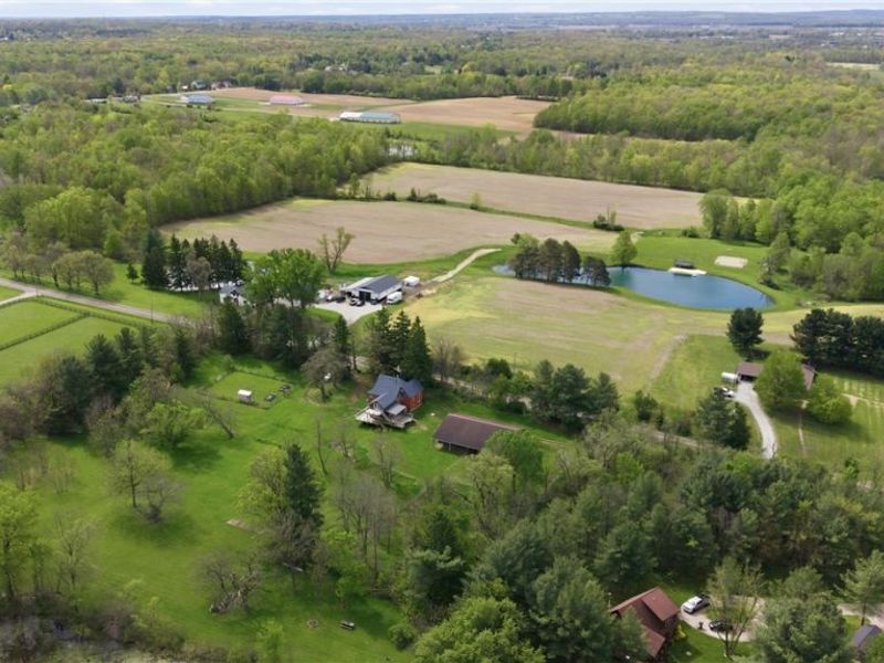 9509 Shaw Road, Spencer, OH 44275 Photo 47