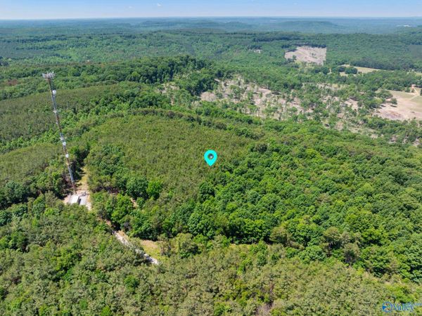 475 Summer House Mountain Road, Cherokee, AL 35616