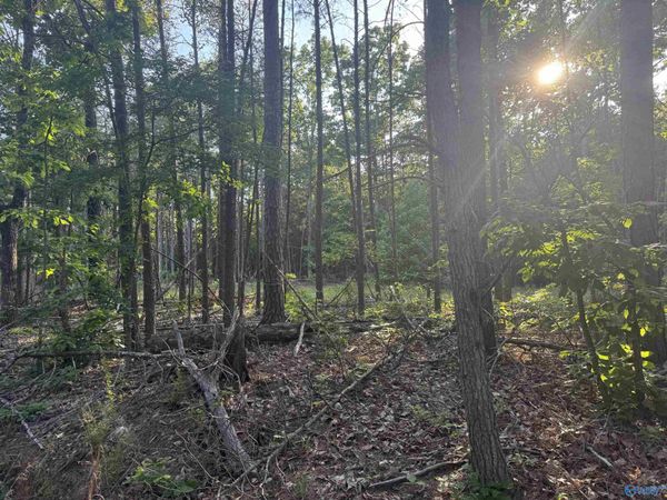 475 Summer House Mountain Road, Cherokee, AL 35616